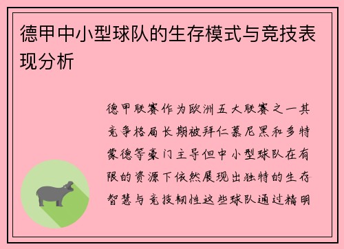 德甲中小型球队的生存模式与竞技表现分析
