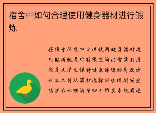 宿舍中如何合理使用健身器材进行锻炼